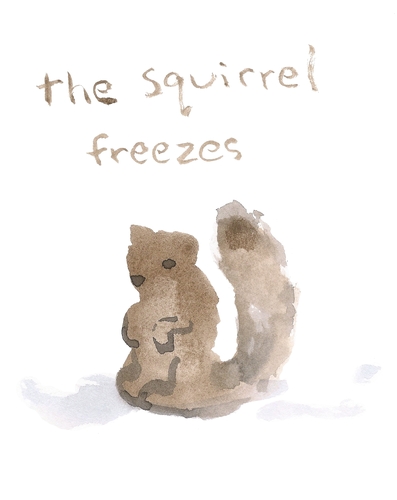 the squirrel freezes