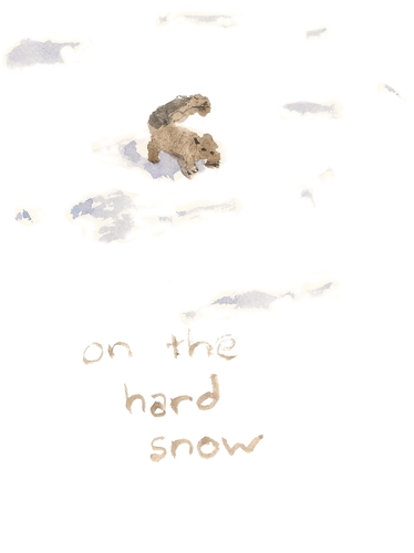 on the hard snow