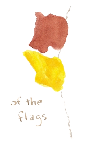 of the flags