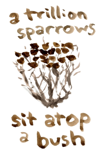 a trillion sparrows sit atop a bush