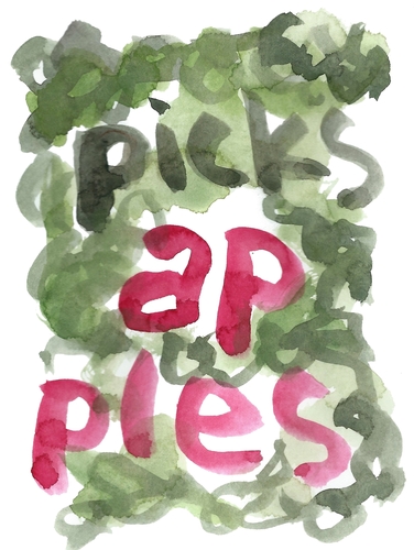 picks apples